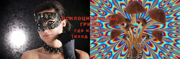 героин Алексин