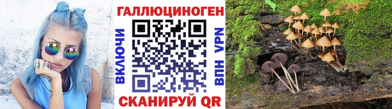 MEGA рабочий сайт  даркнет сайт  Ачинск  Псилоцибиновые грибы Psilocybe 